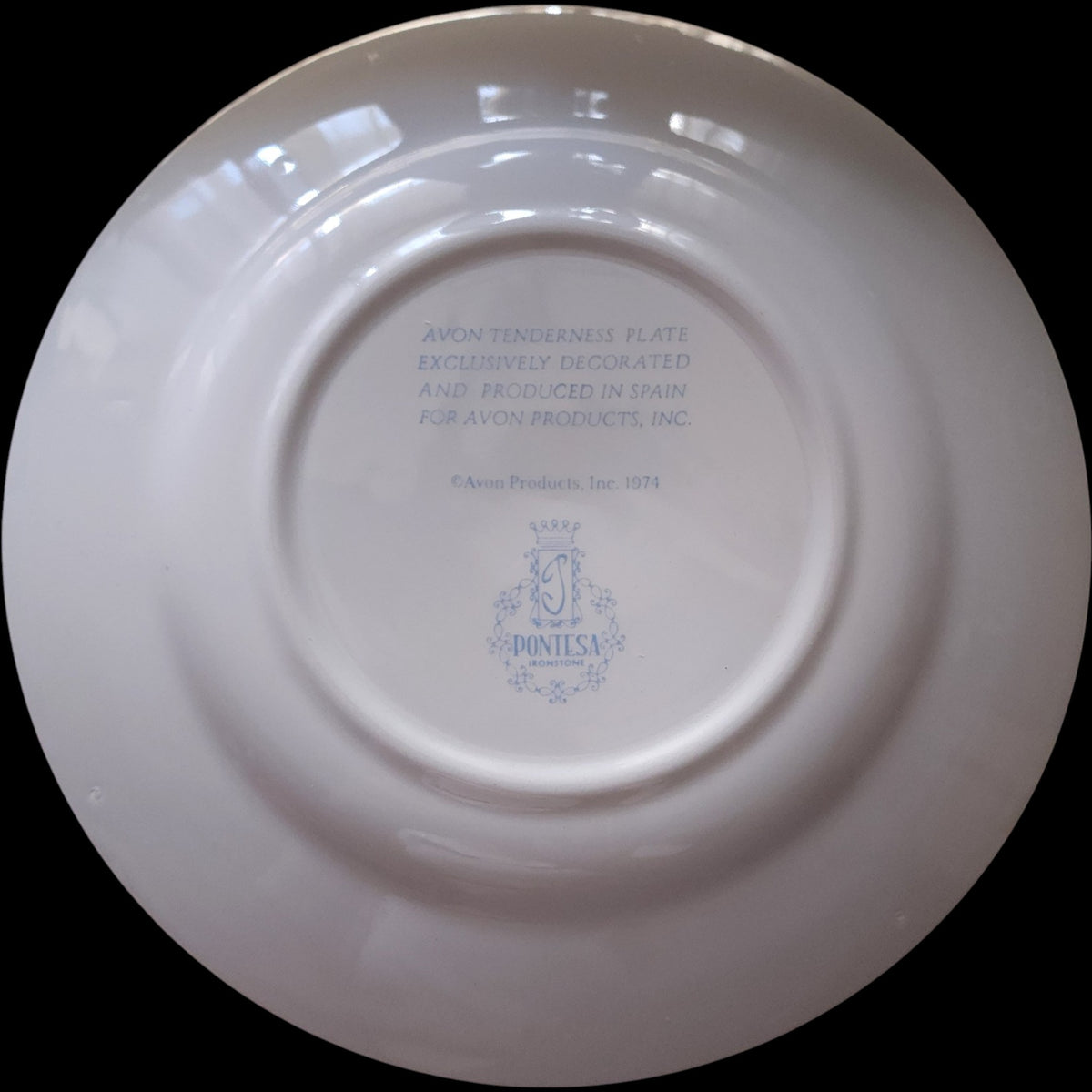 1974 Avon Tenderness Plate Pontesa Spain Mother & Children Ironstone Collector Plate
