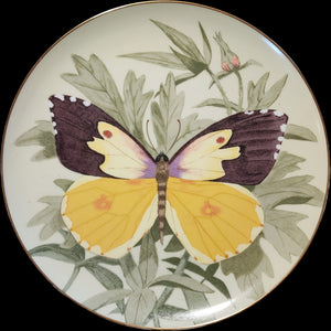 Certified Rarities 1978 Bennington Porcelain Butterfly Collector Plate Stanley Galli Colias Eurydice