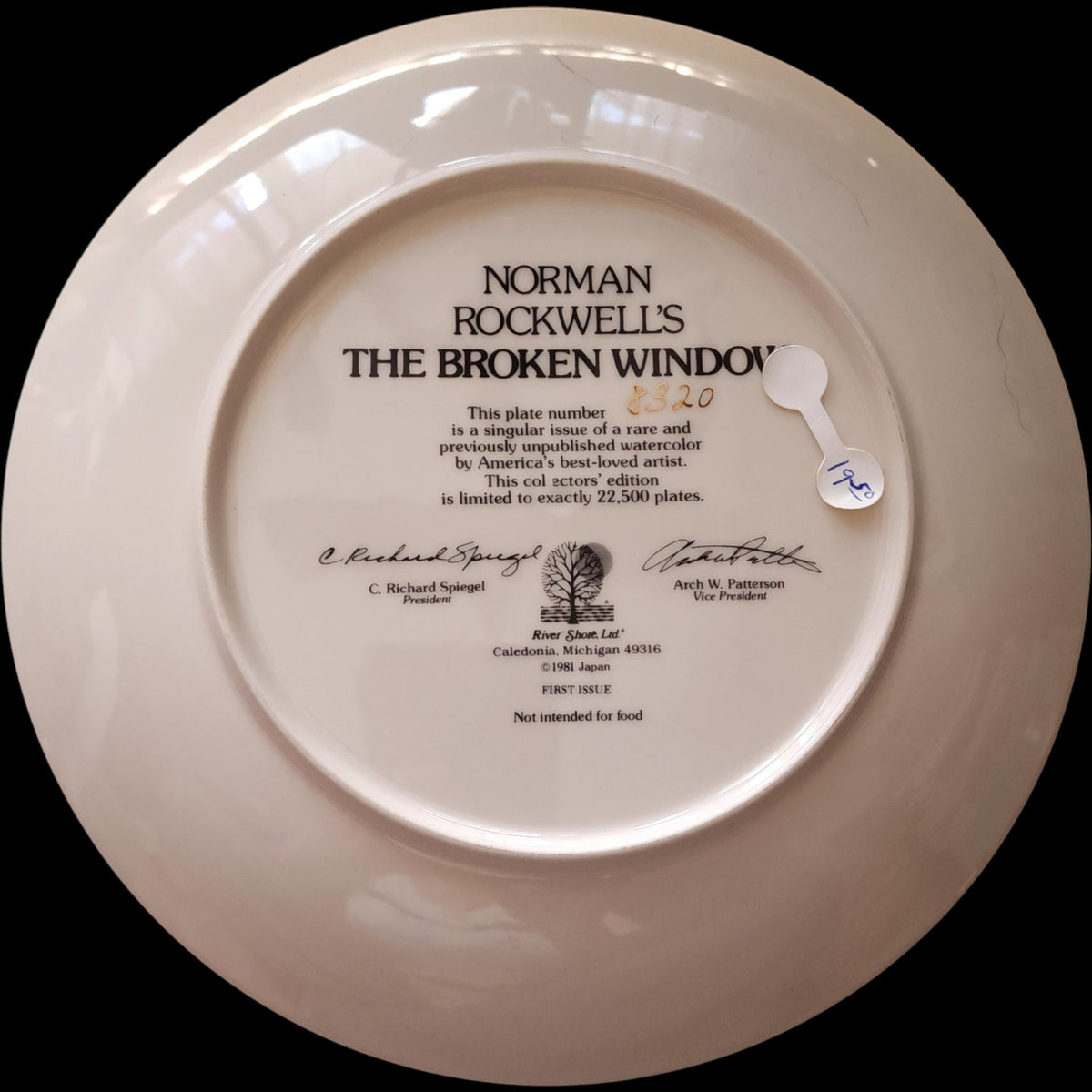1981 Norman Rockwell The Broken Window River Shore Porcelain Collector Plate