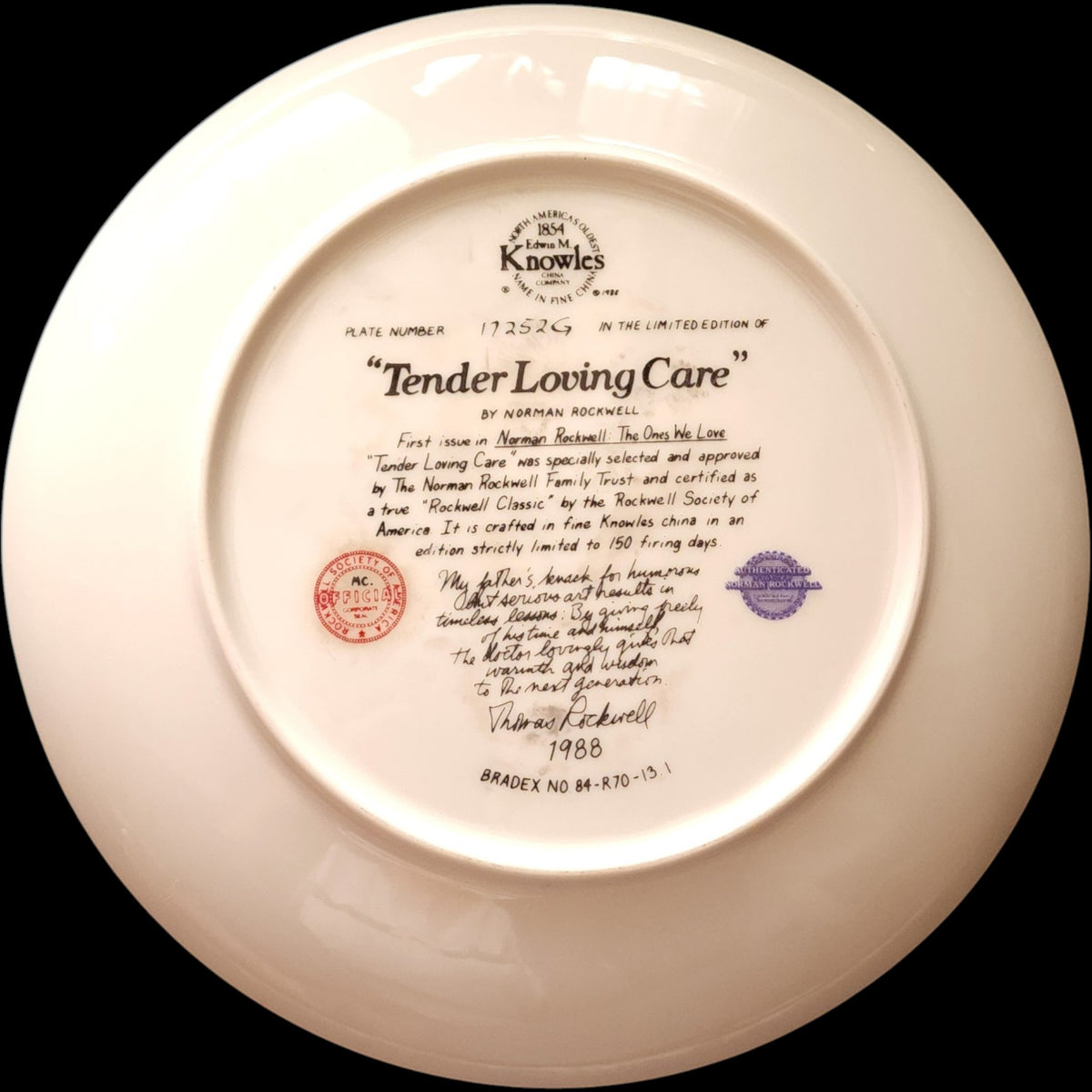 1988 Edwin M Knowles Norman Rockwell Tender Loving Care Collector Plate