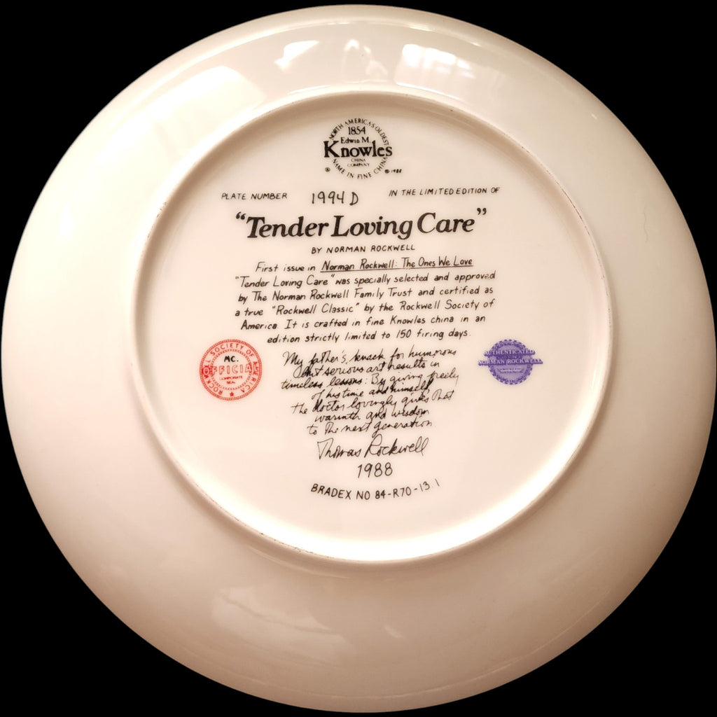 1988 Edwin M Knowles Norman Rockwell Tender Loving Care Collector Plate