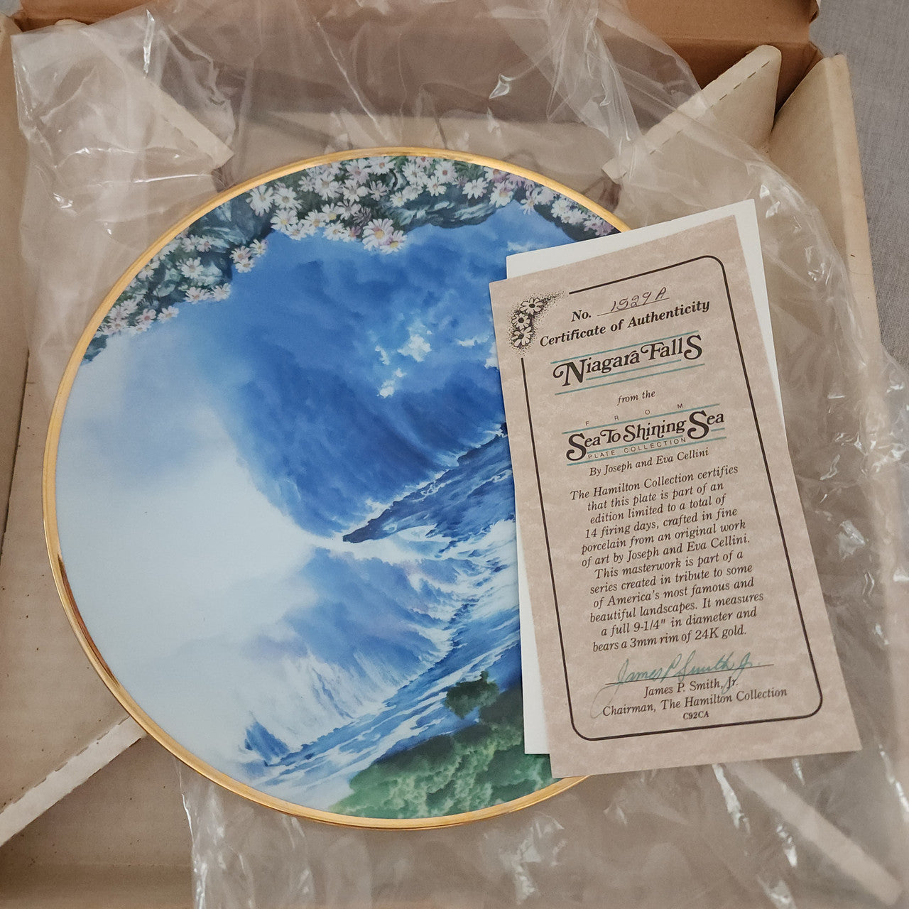 Hamilton Sea To Shining Sea Niagara Falls Raccoon Ltd Ed Plate Boxed