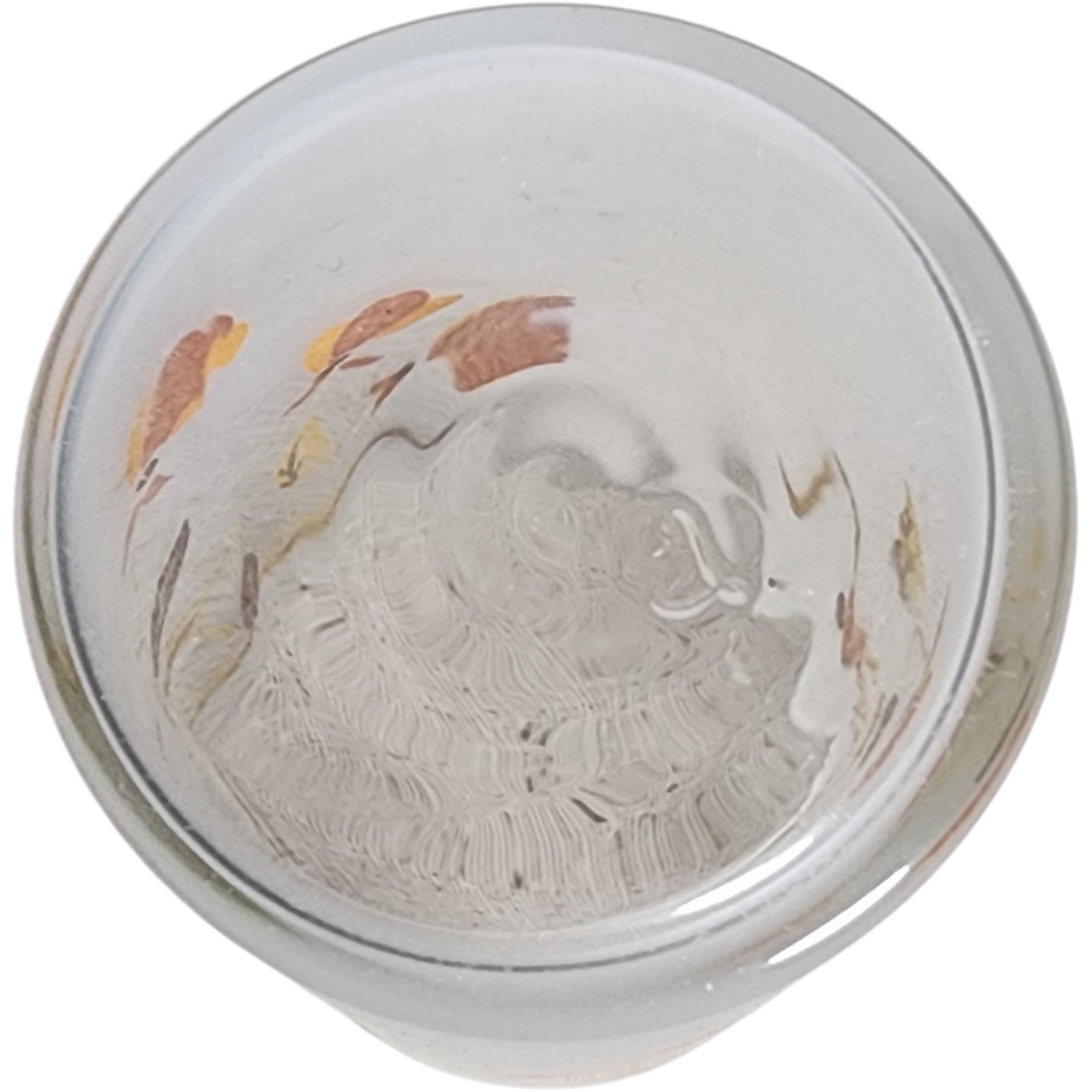 Hall China Autumn Leaf Holiday 12 Oz Glassware Frosted Tumbler