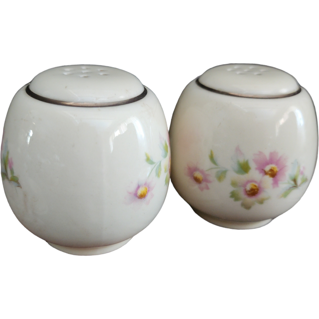 2" Homer Laughlin Fluffy Virginia Rose Pink & White Flowers Salt & Pepper Set