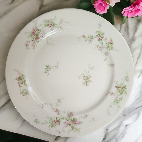 6" Haviland Limoges Theo Smooth Off White Pink Roses Bread & Butter Plate France