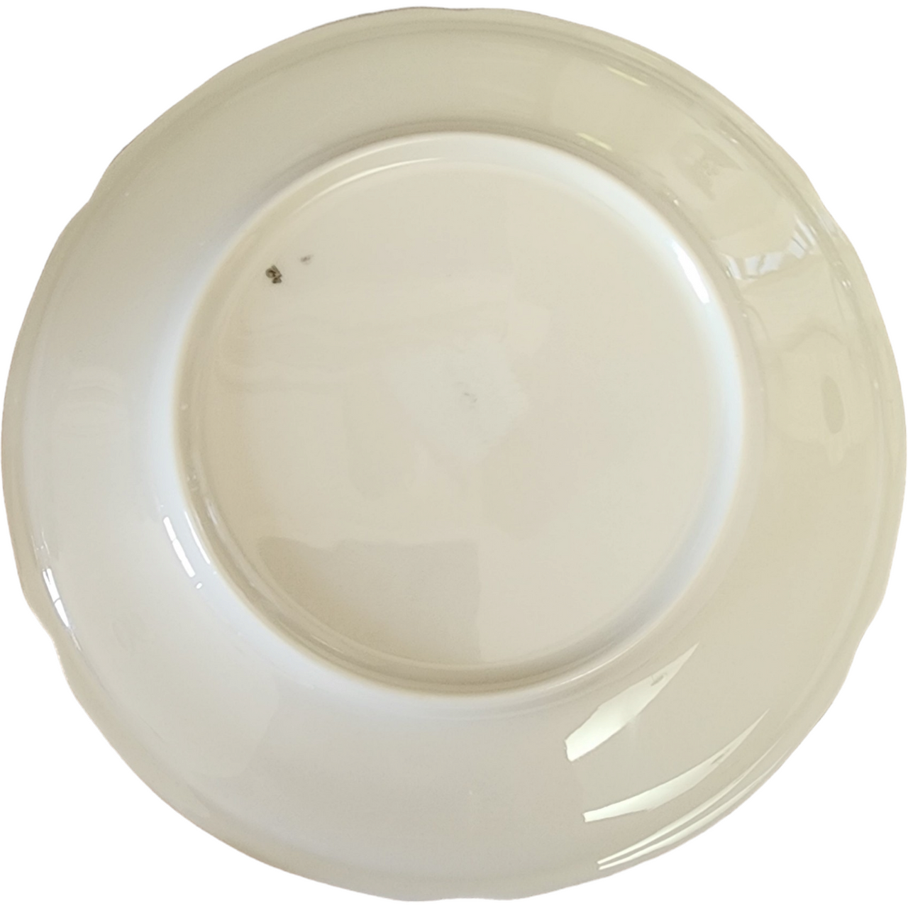 7" Castleton Tree of India Scalloped USA Salad Plate