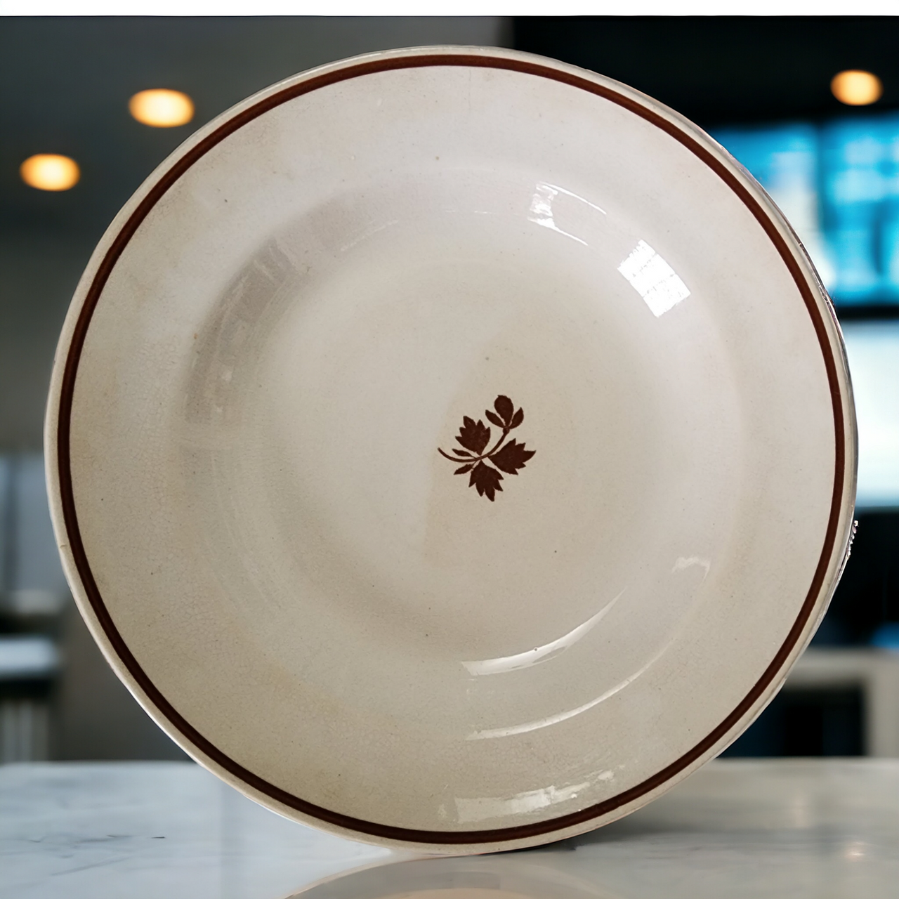 8" Anthony Shaw Tea Leaf Copper Band White Ironstone Rim Soup Bowl