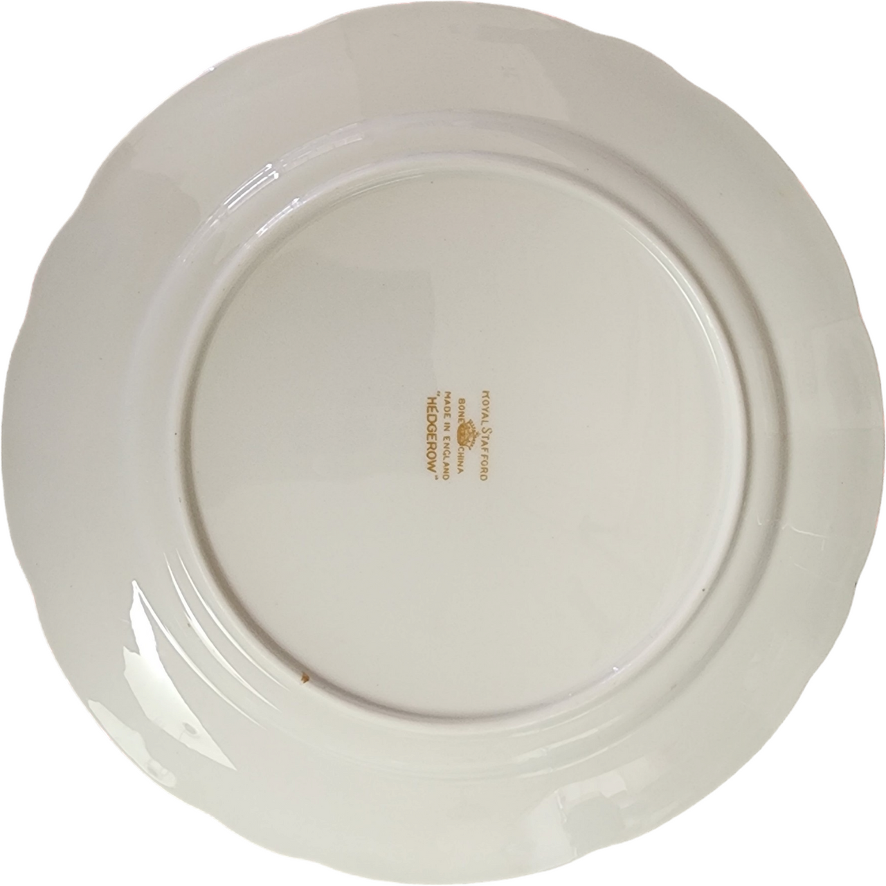 8" Royal Stafford Hedgerow Floral Vine / Berries Salad Plate