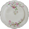 9" Homer Laughlin Fluffy Virginia Rose Platinum Trim Pink & White Flowers Luncheon Plate