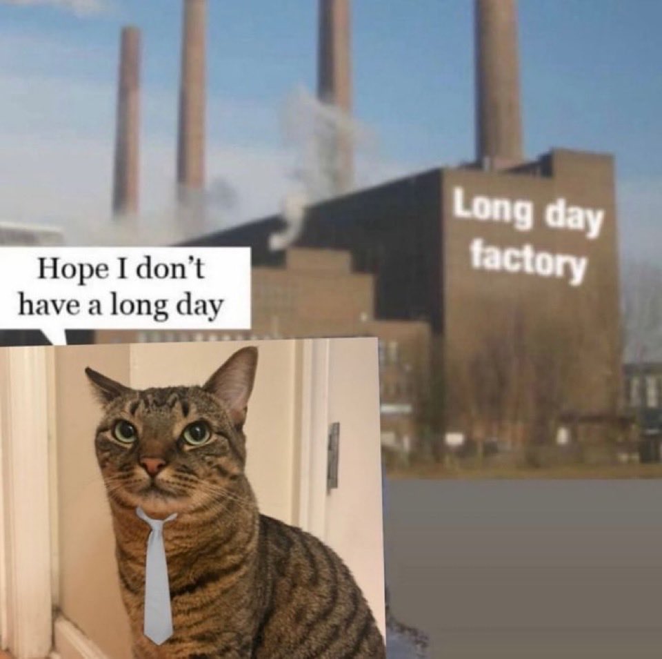 Cat wearing a tie with a factory in the background and text 'Hope I don't have a long day'.