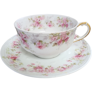 Charles Field Haviland Pink Flowers Green Leaves Limoges France Flat Cup & Saucer Set