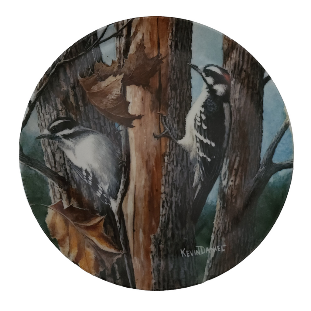 Edwin Knowles Encyclopedia Britannica Birds The Downy Woodpecker Plate