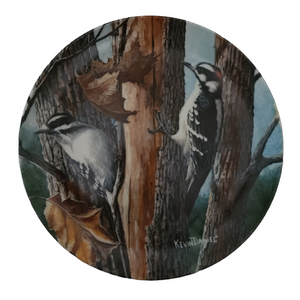 Edwin Knowles Encyclopedia Britannica Birds The Downy Woodpecker Plate