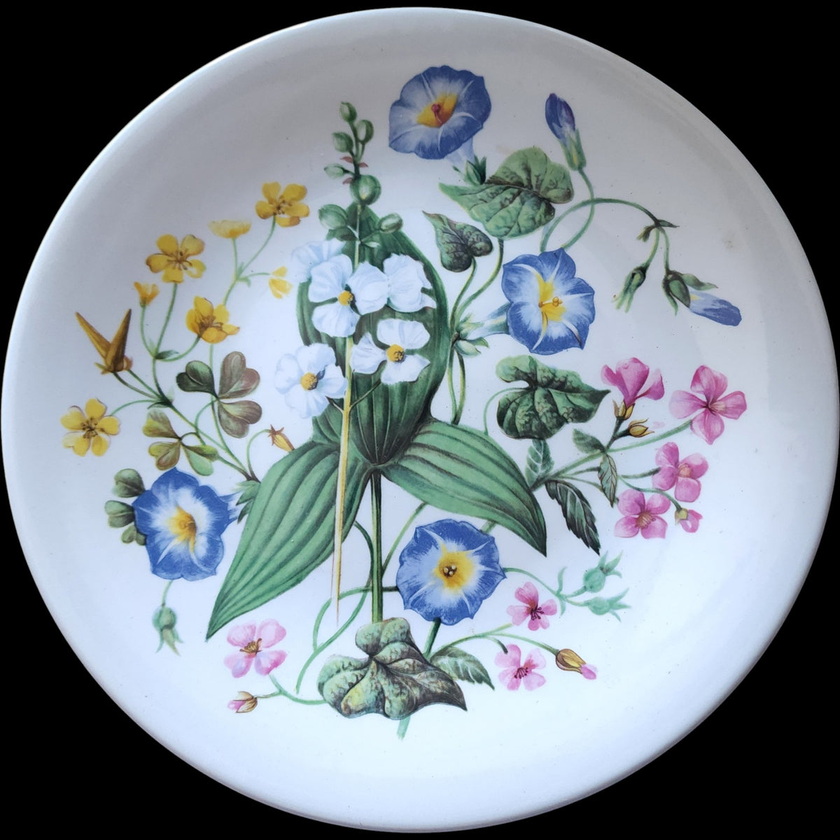 Enoch Wedgwood Wild Flowers of the Southern United States Avon Porcelain Collector Plate