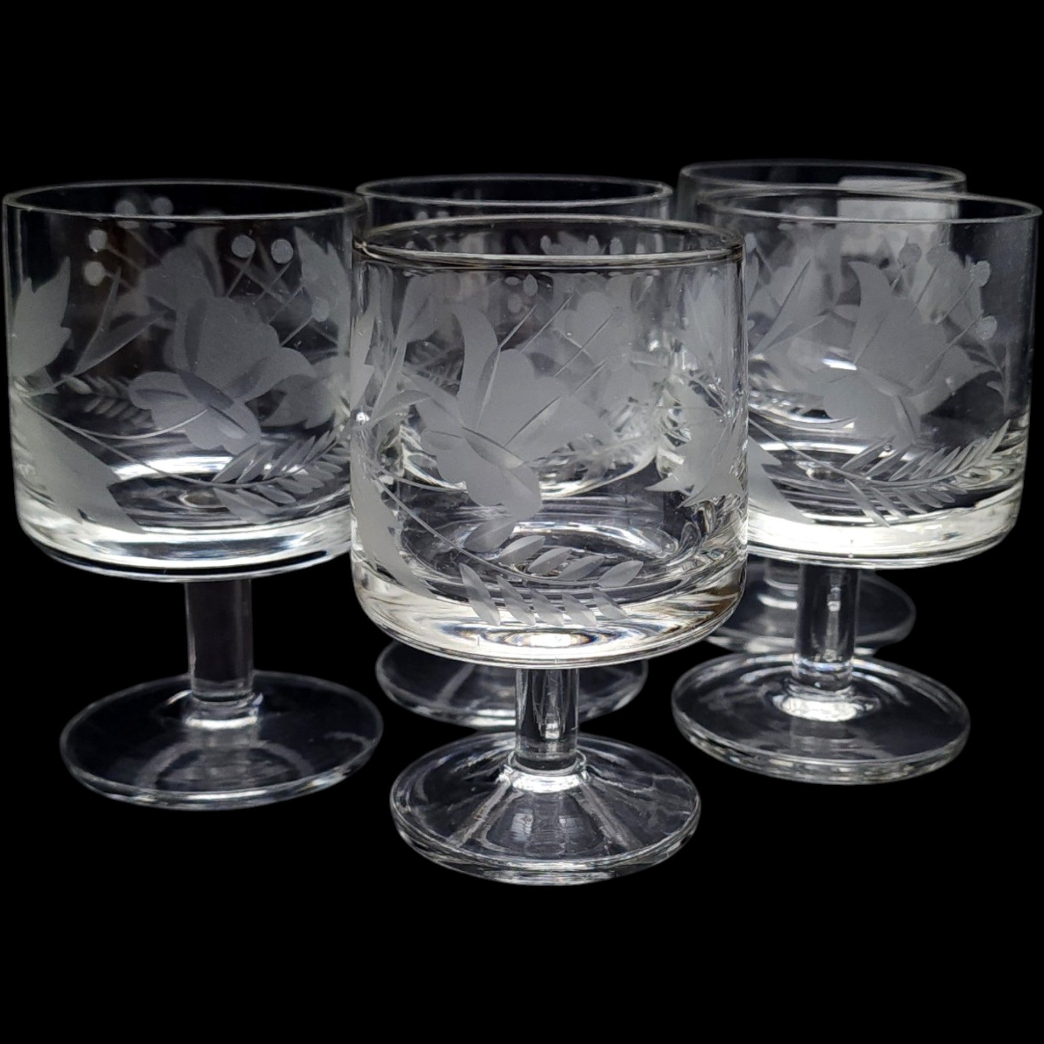 Vintage Etched Glass Cordial Glasses Floral & Fern Botanical Motif Set of 5