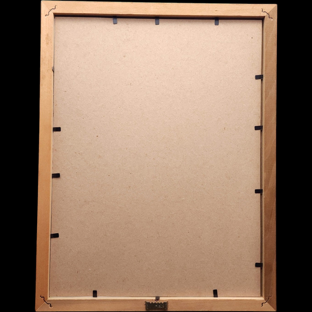 Framed U.S. 20th Century Coin Collection Wall Display