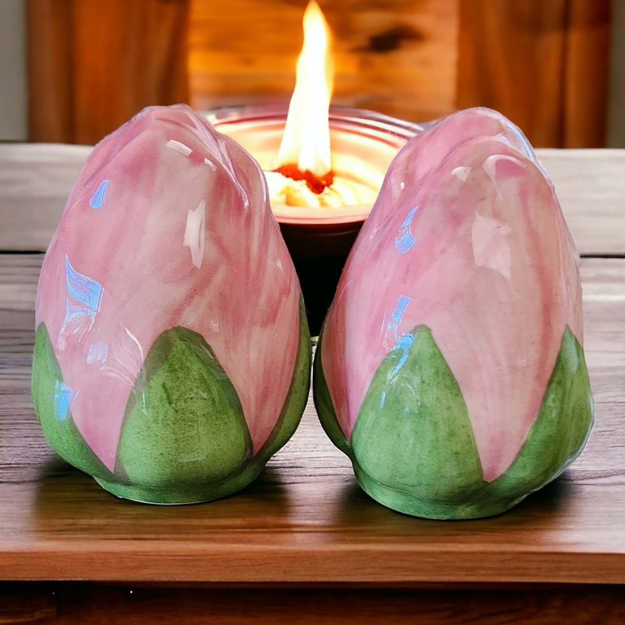 Franciscan Desert Rose Salt & Pepper Set