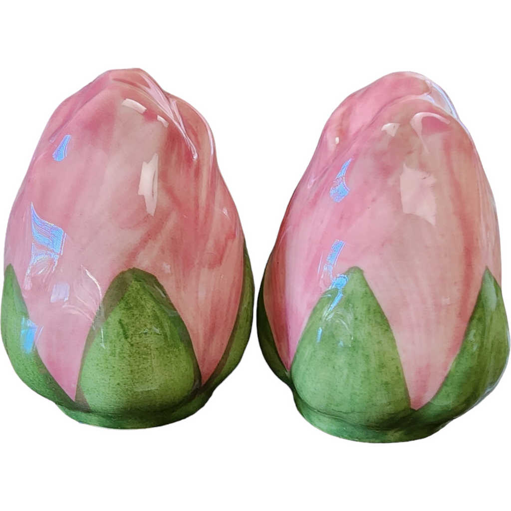 Franciscan Desert Rose Salt & Pepper Set