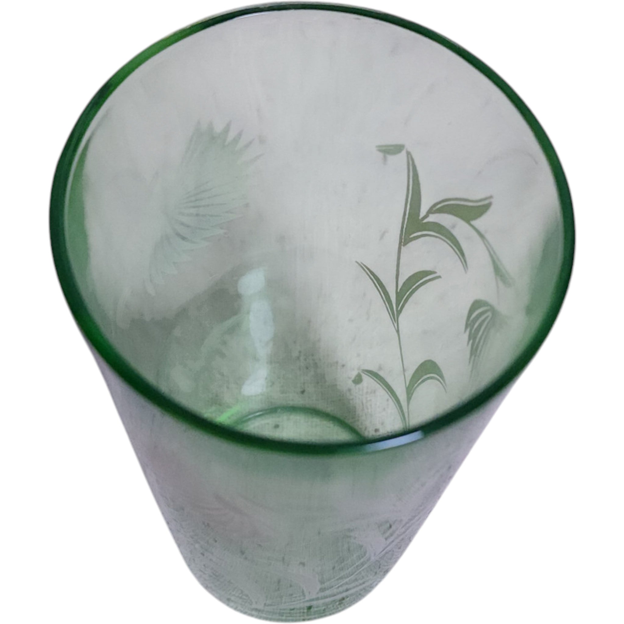 Hazel Atlas Aster Pattern Green Uranium Glass Tumbler