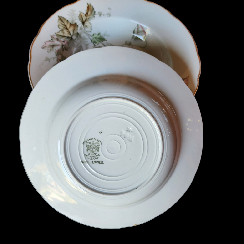 John Edwards Wind Flower Transferware Rim Soup Bowl Set of 7