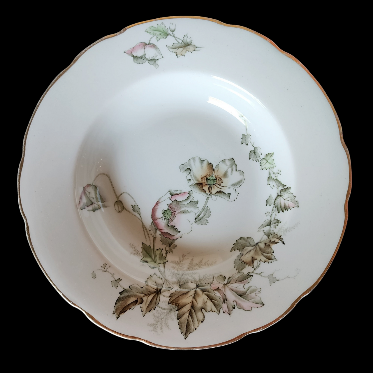 John Edwards Wind Flower Transferware Rim Soup Bowl Set of 7