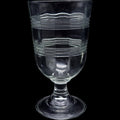 Martha Stewart Everyday Ring Optic Panel Iced Tea Glass