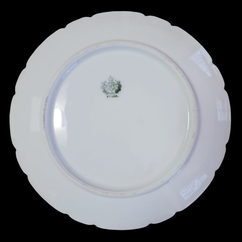 PT Bavaria Porcelain Hand Painted Floral Pattern Cabinet Plate Signed