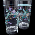Pfaltzgraff April Pattern 14 oz Glassware Cooler Tumblers Set of 2