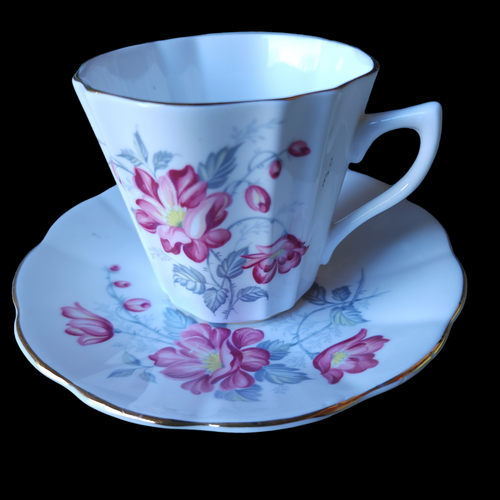 Roya Imperial Bone China Footed Teacup & Saucer Set