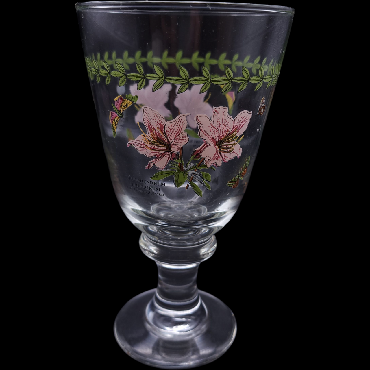 Portmeirion Botanic Garden Handpainted Glassware Water Goblet Rhododendron Luteum  Vintage Flower Glass