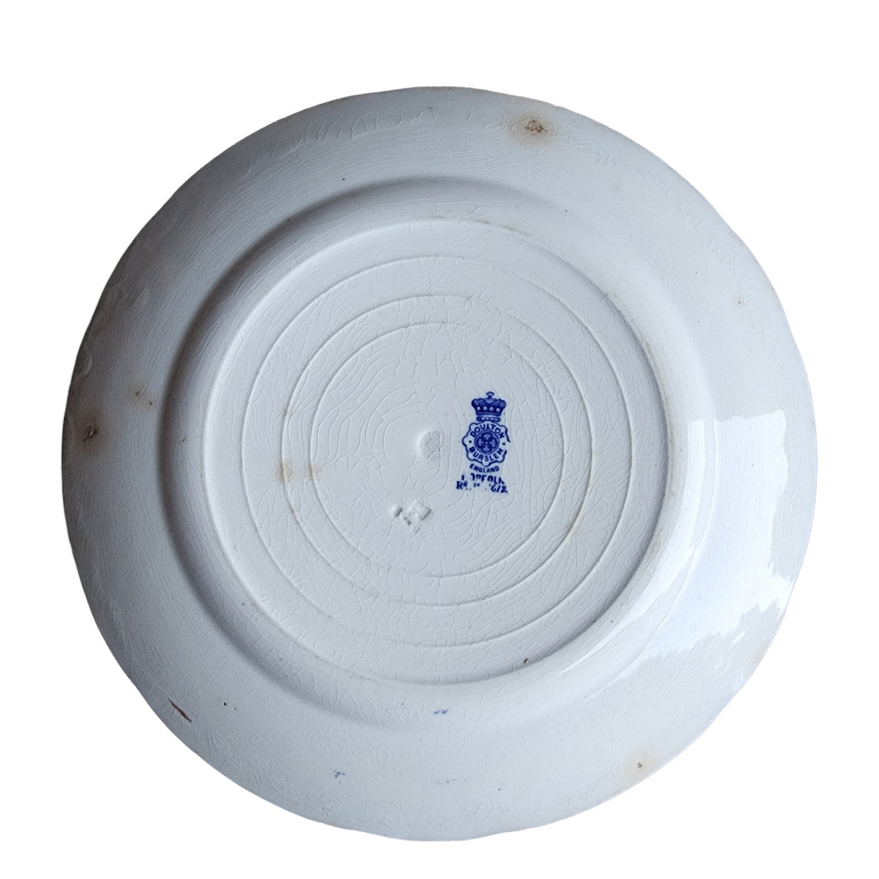 10" ROYAL DOULTON Norfolk Blue Dinner Plates Set of 2