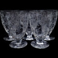Rock Sharpe Etched Floral Footed Tumbler Glasses Set of 5