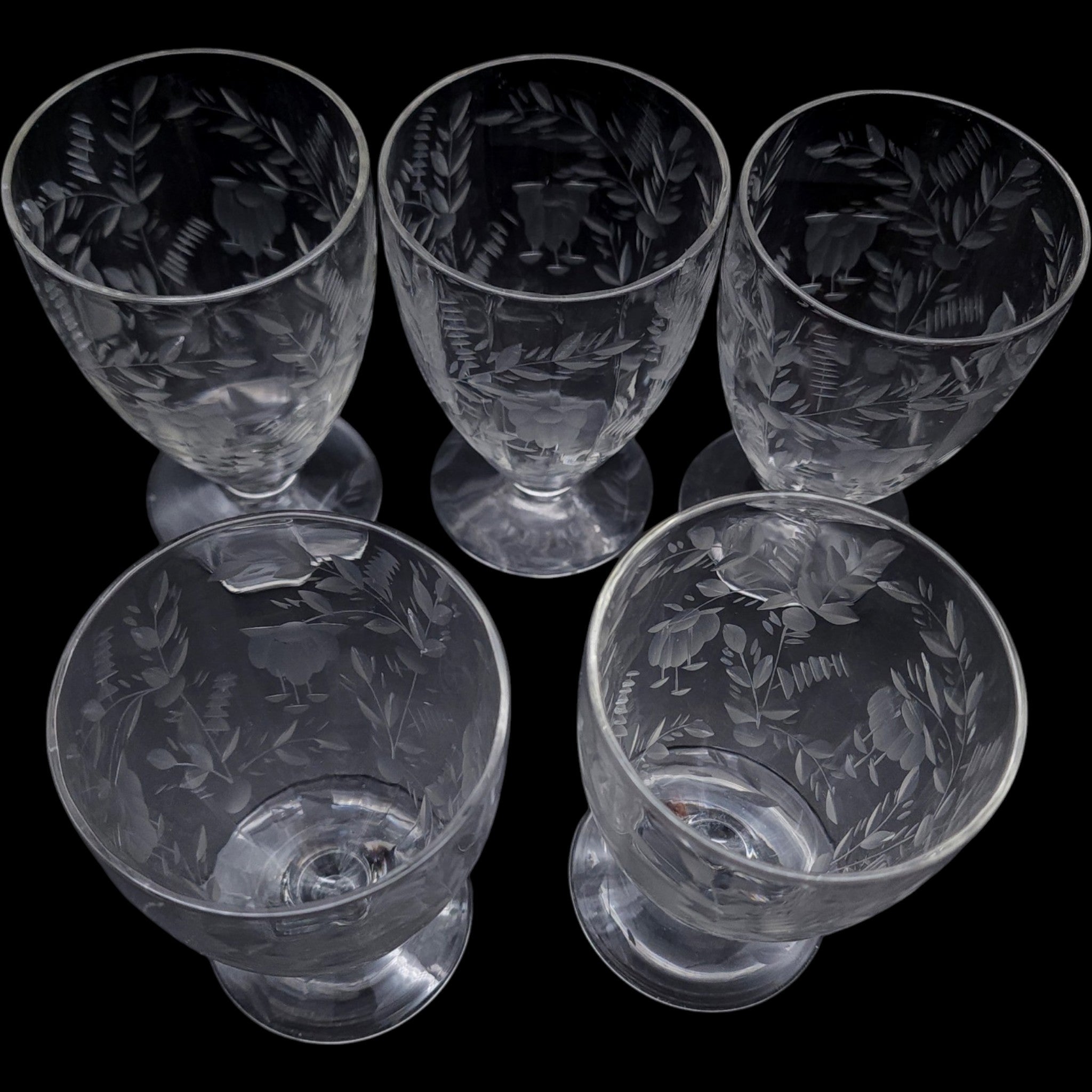 Rock Sharpe Etched Floral Footed Tumbler Glasses Set of 5
