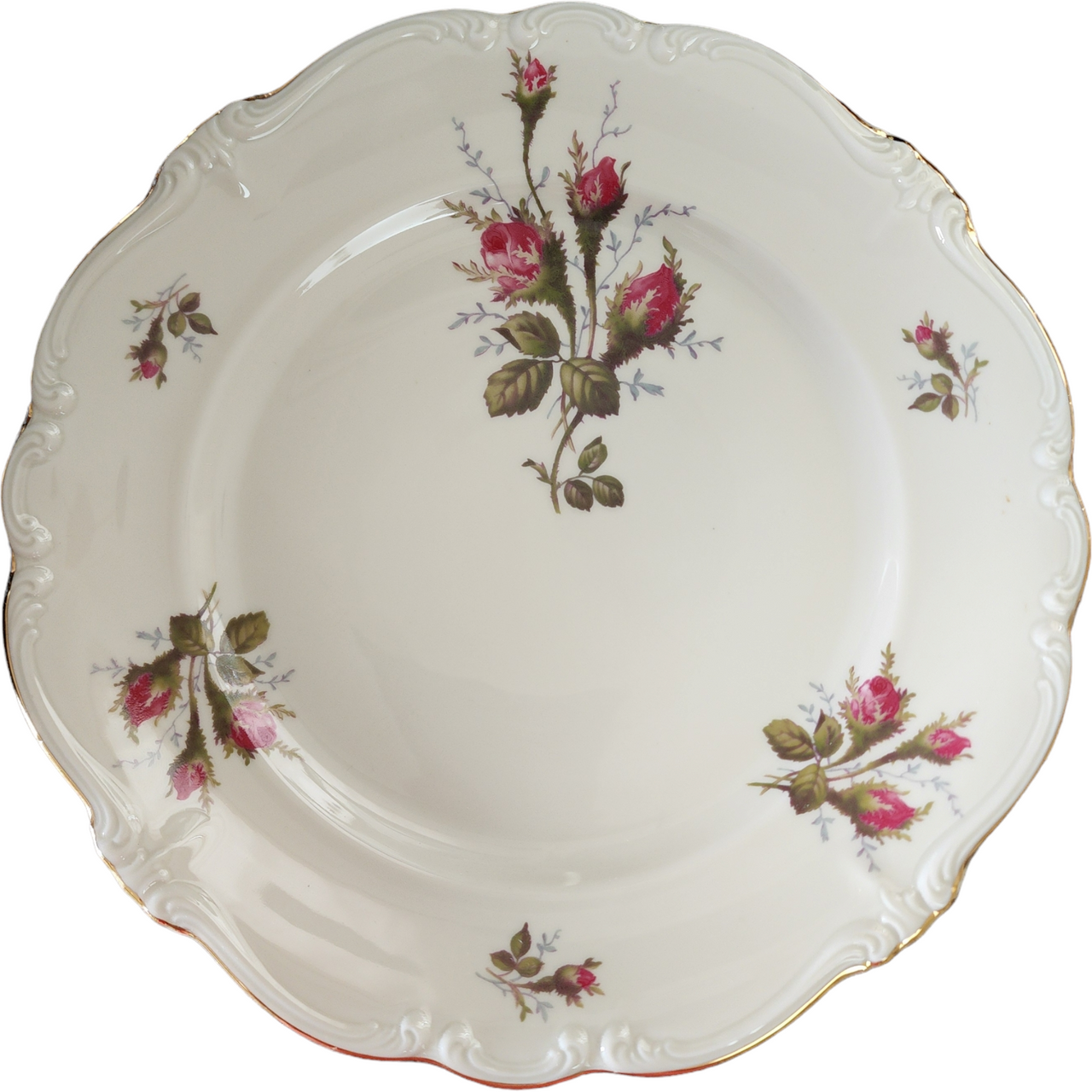Rosenthal Pompadour Ivory Moss Rose Dinner Plate