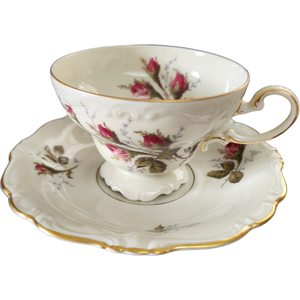 Rosenthal Pompadour Ivory Moss Rose Footed Cup & Saucer Set