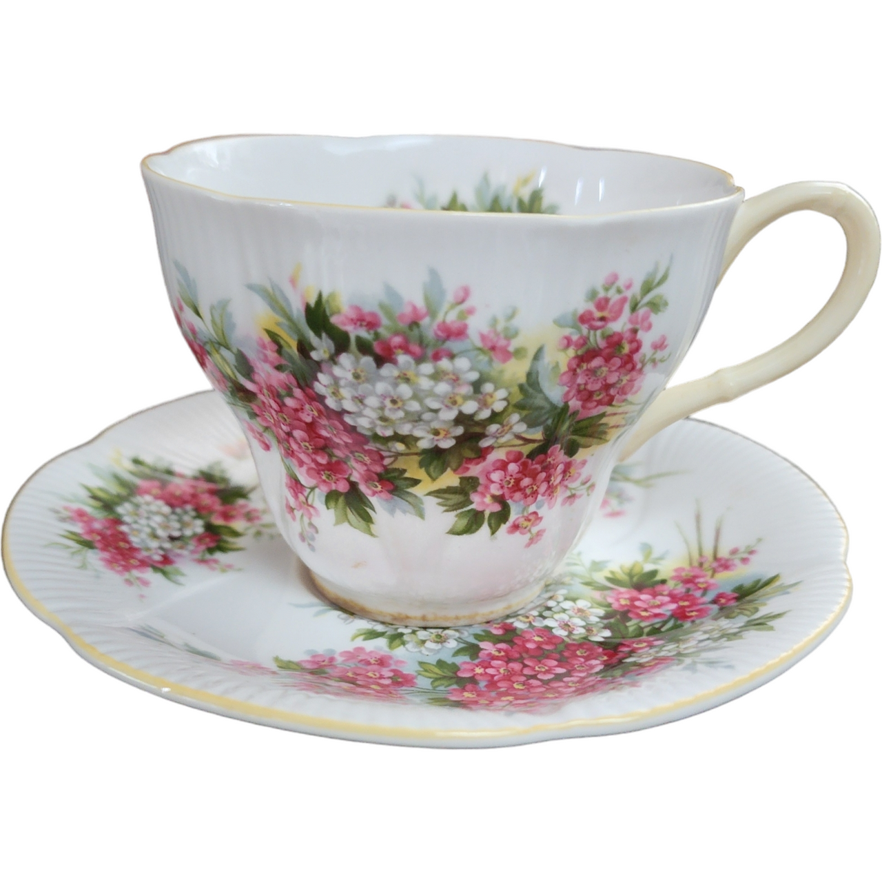 Royal Albert Blossom Time Series Hawthorn Cup & Saucer Set