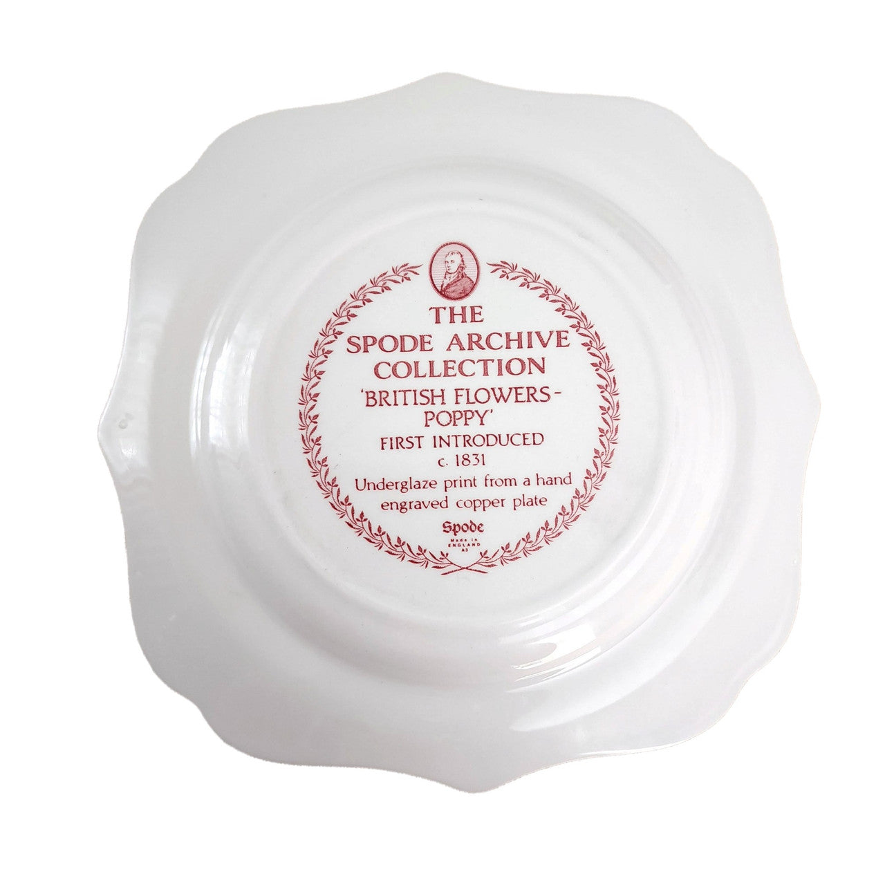 SPODE Garden Collection Cranberry and White Poppy Buffet,Dessert Scalloped Plate