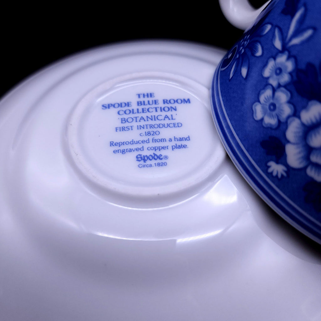 SPODE Georgian Collection Flat Cup & Saucer Set Botanical