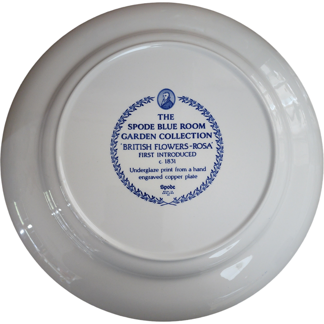 Spode Blue Room Garden Collection Yellow Background Pasta Serving Bowl