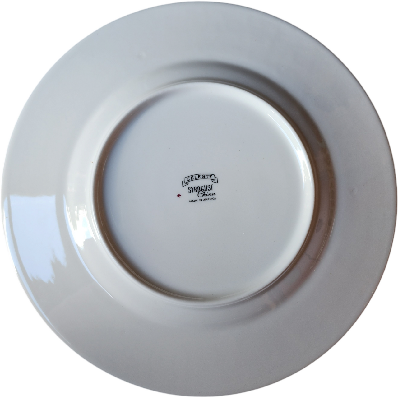 Syracuse Celeste Carolina Blue Leaves On White Platinum Trim Dinner Plate