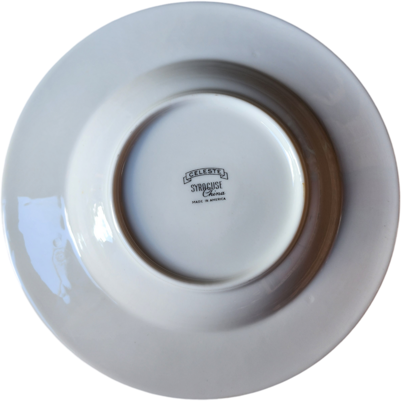 Syracuse Celeste Carolina Blue Leaves On White Rim Soup Bowl