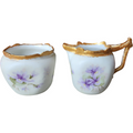 T&V Limoges France Hand-Painted Floral Design with Gold Accents Creamer & Sugar Set