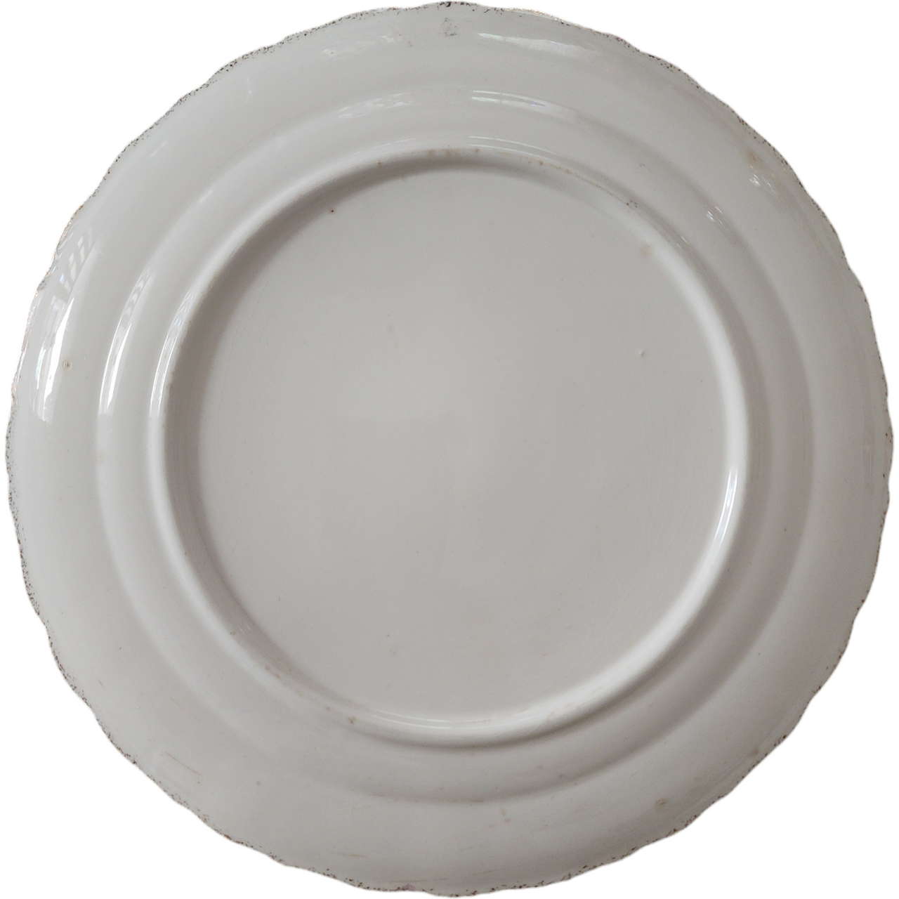 Thompson Trent Yellow Flowers Brushed Gold Trim Dinner Plate