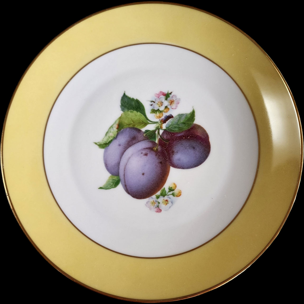 Tirschenreuth Fruit Center Dinner Plates Set of Six with Gold Trim Bavaria