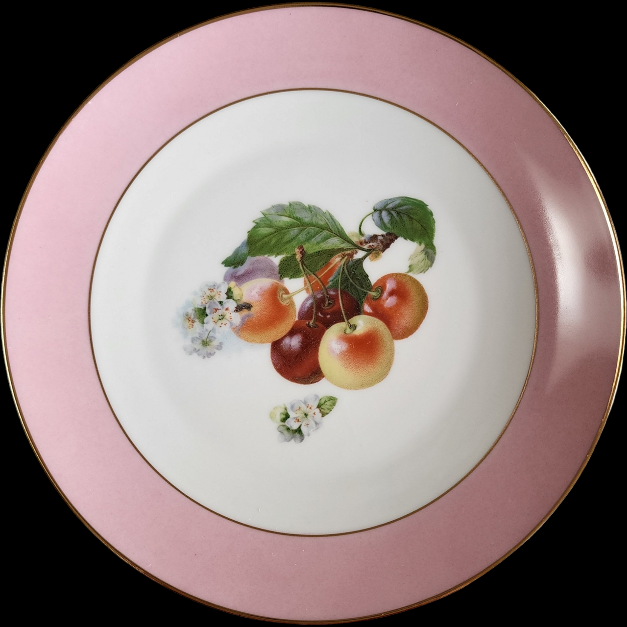 Tirschenreuth Fruit Center Dinner Plates Set of Six with Gold Trim Bavaria