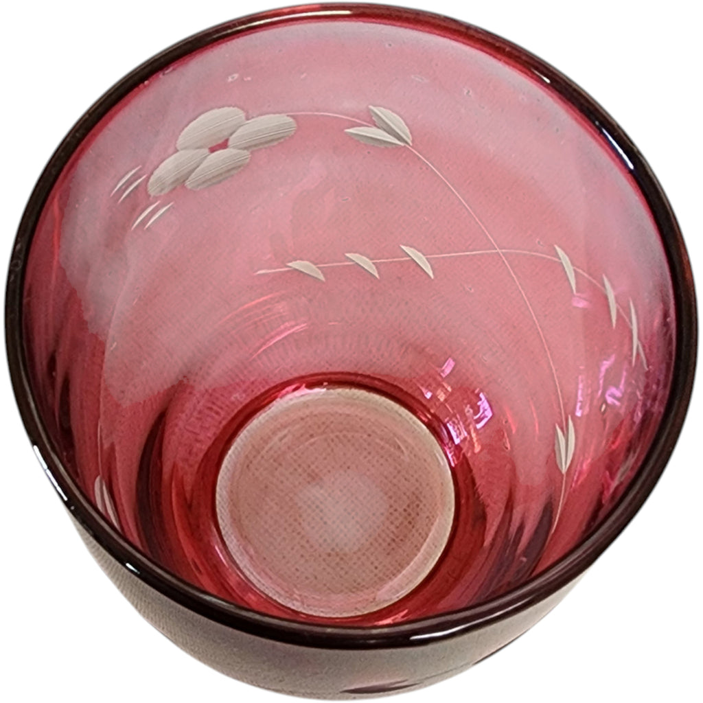 Vintage Cranberry Glass Etched Floral Tumbler