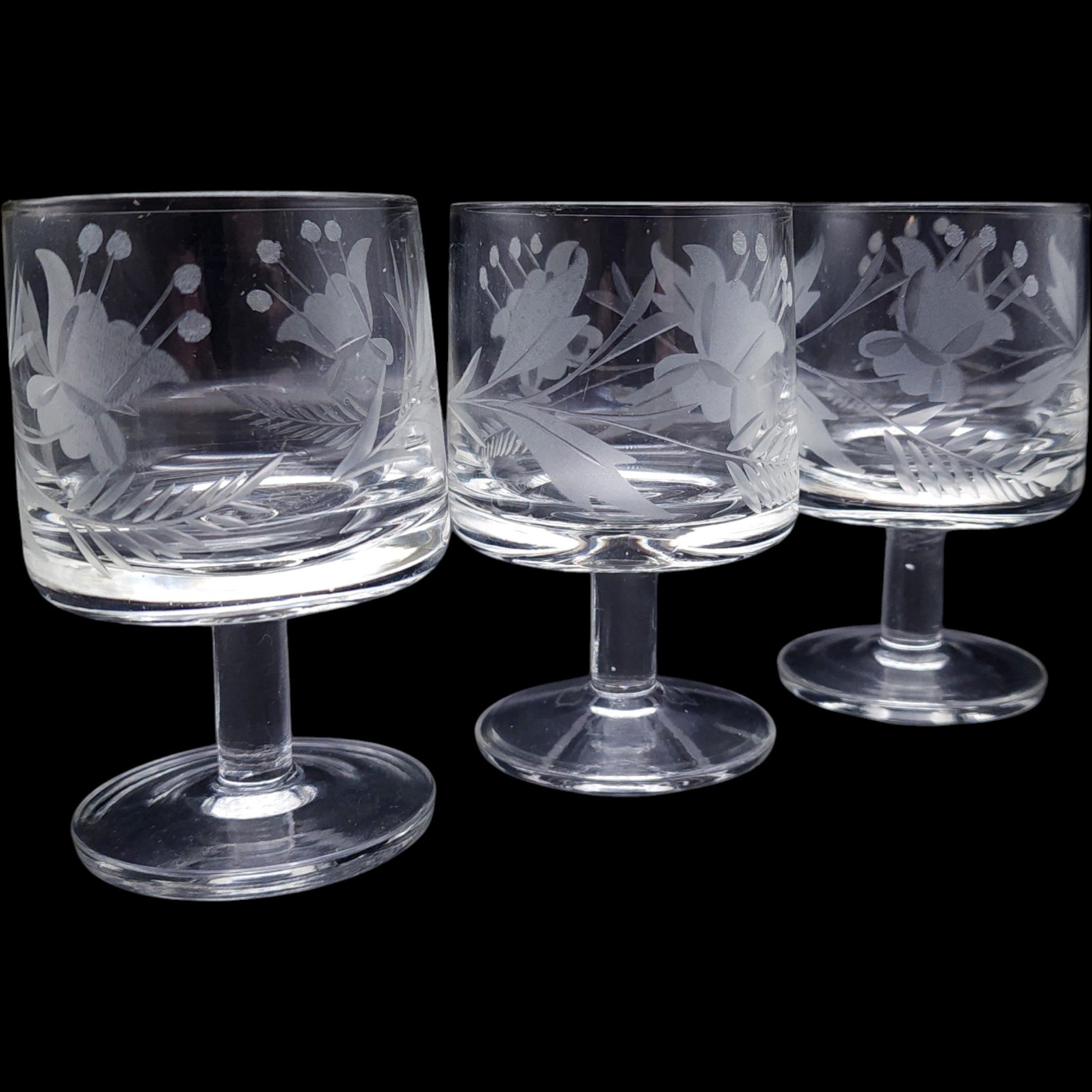 Vintage Etched Glass Cordial Glasses Floral & Fern Botanical Motif Set of 5