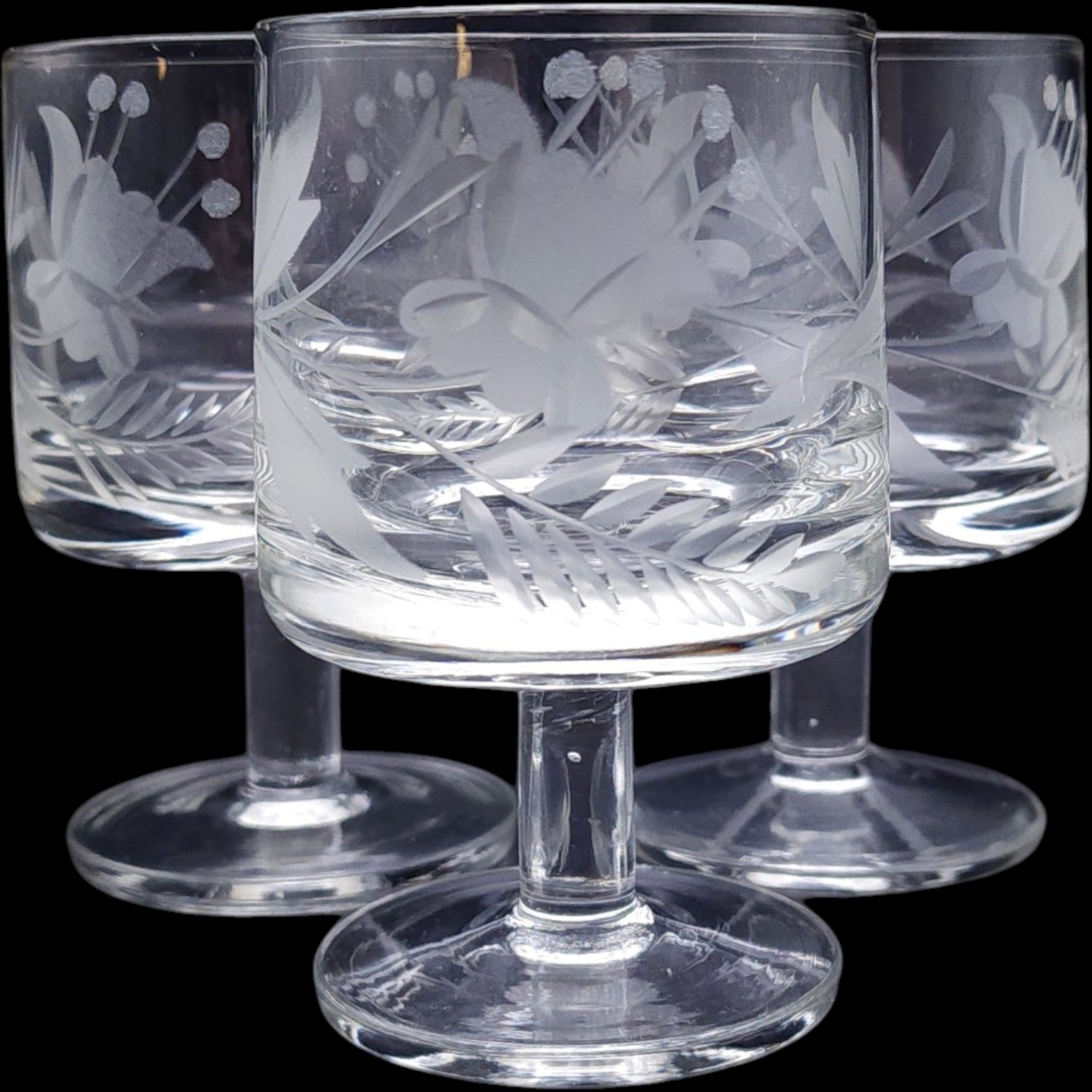 Vintage Etched Glass Cordial Glasses Floral & Fern Botanical Motif Set of 5