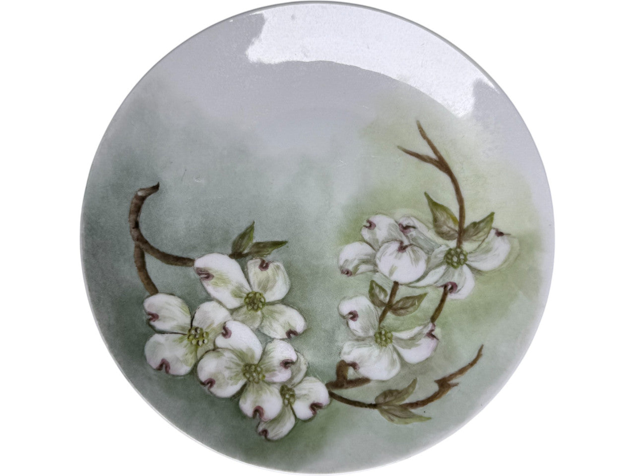 Vintage Porzellanfabrik Arzberg Bavaria Hand Painted Dogwood Plate – Antique German Porcelain Floral Wall Plate Early 1900s Collectible China