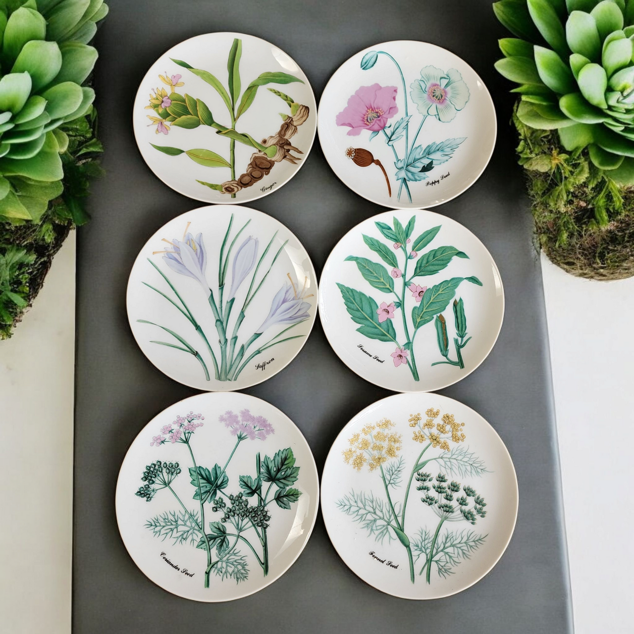 Set of 6 Horchow Collection Botanical Plates Made in Japan